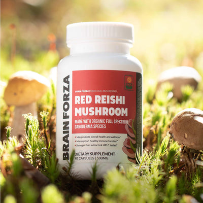 Brain Forza Certified Organic Red Reishi Mushroom Capsules Supplement 500mg 1,500mg daily Ganoderma Immune