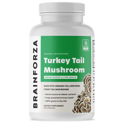 Brain Forza Organic Turkey Tail Mushroom Capsules 500mg Immune Liver Supplement